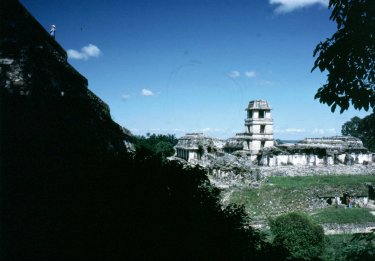 Trnet i Palenque i Mexico